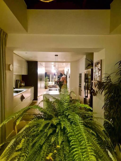 Apartment Met Groot Terras Ghent