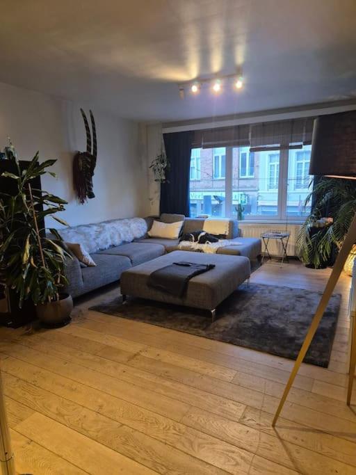 Met Groot Terras Apartment *