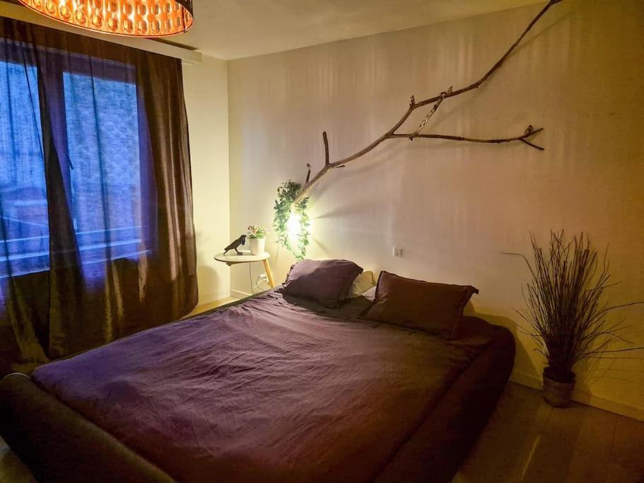 Met Groot Terras Apartment