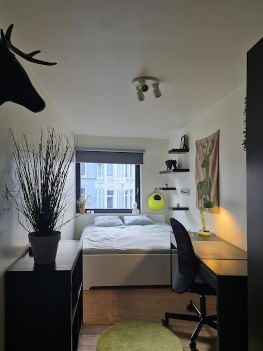 Met Groot Terras Apartment